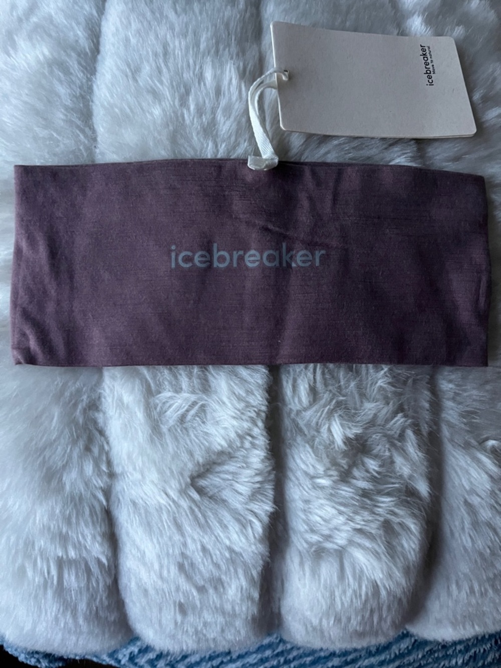Icebreaker Merino Chase Headband